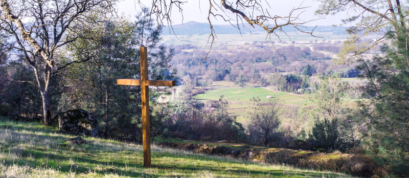 Hill Haven Ranch Cross